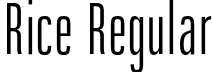 Rice Regular font - Rice-ExtraLightCondensed.otf