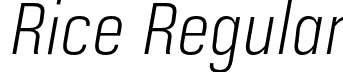 Rice Regular font - Rice-ExtraLightNarrowOblique.otf