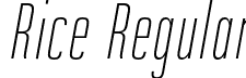 Rice Regular font - Rice-ExtraThinCondObliq.otf