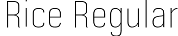 Rice Regular font - Rice-ExtraThinNarrow.otf