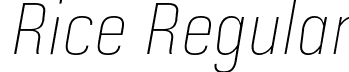 Rice Regular font - Rice-ExtraThinNarrowOblique.otf