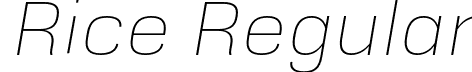 Rice Regular font - Rice-ExtraThinOblique.otf