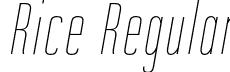 Rice Regular font - Rice-HairlineCondensedOblique.otf