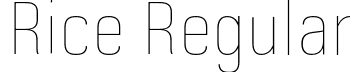 Rice Regular font - Rice-HairlineNarrow.otf