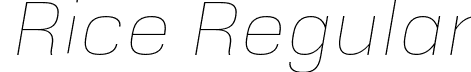 Rice Regular font - Rice-HairlineOblique.otf