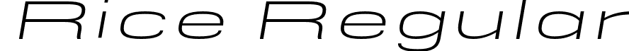 Rice Regular font - Rice-LightExpandedOblique.otf