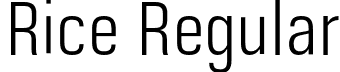 Rice Regular font - Rice-LightNarrow.otf