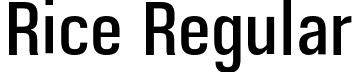 Rice Regular font - Rice-MediumNarrow.otf