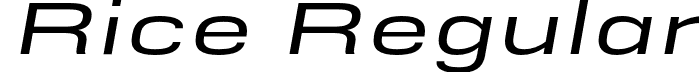 Rice Regular font - Rice-MediumWideOblique.otf