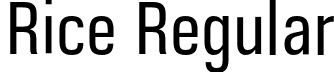 Rice Regular font - Rice-Narrow.otf