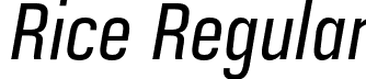 Rice Regular font - Rice-NarrowOblique.otf