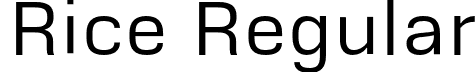 Rice Regular font - Rice-Regular.otf