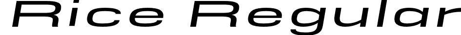 Rice Regular font - Rice-SemiBoldExpandedOblique.otf