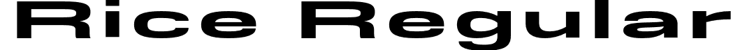 Rice Regular font - Rice-SuperExpanded.otf