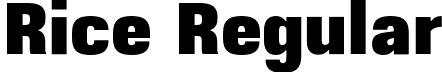 Rice Regular font - Rice-SuperNarrow.otf