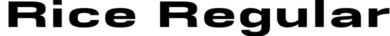 Rice Regular font - Rice-SuperWide.otf