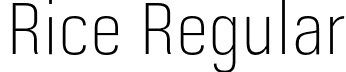 Rice Regular font - Rice-ThinNarrow.otf