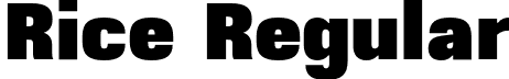 Rice Regular font - Rice-UltraNarrow.otf