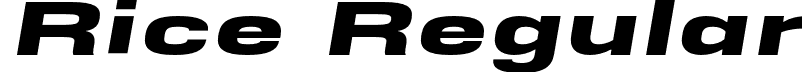 Rice Regular font - Rice-UltraWideOblique.otf