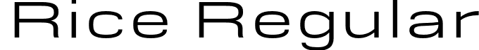 Rice Regular font - Rice-Wide.otf