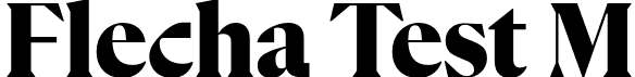 Flecha Test M font - FlechaTestM-Black.otf