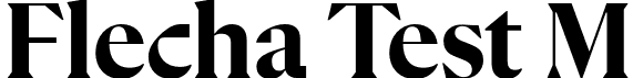 Flecha Test M font - FlechaTestM-Bold.otf