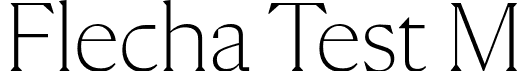 Flecha Test M font - FlechaTestM-ExtraLight.otf