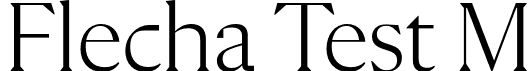 Flecha Test M font - FlechaTestM-Light.otf