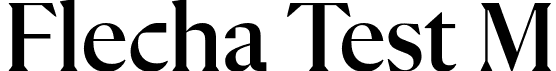 Flecha Test M font - FlechaTestM-Medium.otf