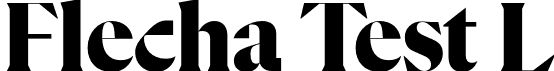 Flecha Test L font - FlechaTestL-Black.otf