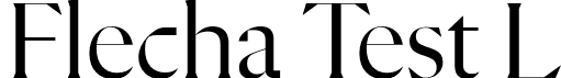 Flecha Test L font - FlechaTestL-Regular.otf