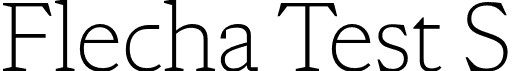 Flecha Test S font - FlechaTestS-ExtraLight.otf