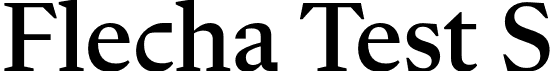 Flecha Test S font - FlechaTestS-Medium.otf