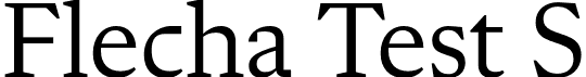 Flecha Test S font - FlechaTestS-Regular.otf