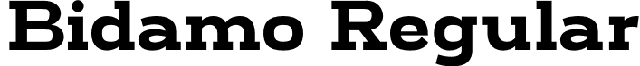 Bidamo Regular font - Bidamo-9MX2B.otf