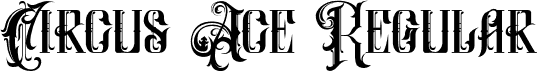 Circus Ace Regular font - Circus Age DEMO.otf