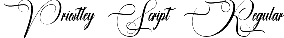 Priestley Script Regular font - Priestley script.ttf