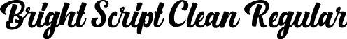 Bright Script Clean Regular font - Bright Script Clean.ttf