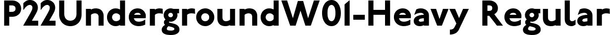 P22UndergroundW01-Heavy Regular font - P22 Underground W01 Heavy.ttf