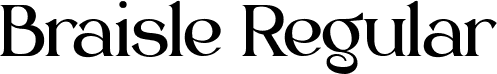 Braisle Regular font - Braisle.ttf