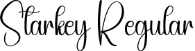 Starkey Regular font - Starkey.otf