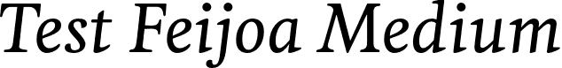 Test Feijoa Medium font - testfeijoa-mediumitalic.otf