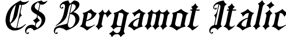 CS Bergamot Italic font - csbergamot-italic.otf