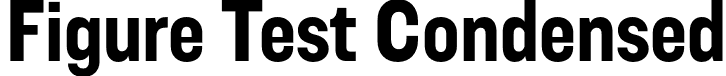 Figure Test Condensed font - FigureTest-CondensedBold.otf