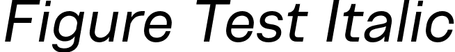 Figure Test Italic font - FigureTest-Italic.otf