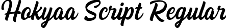 Hokyaa Script Regular font - Hokyaa Script Reg.ttf