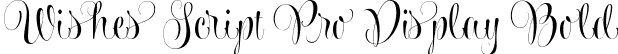 Wishes Script Pro Display Bold font - WishesScriptProDisplay-Bold.otf