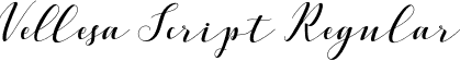 Vellesa Script Regular font - VellesaScript.otf