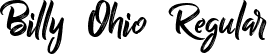 Billy Ohio Regular font - Billy Ohio.ttf