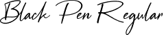 Black Pen Regular font - Black Pen.ttf